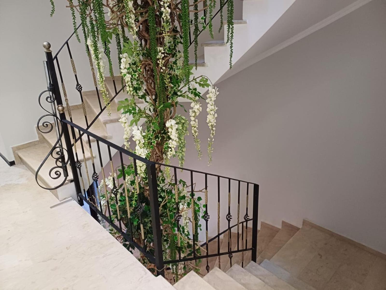 Oxygen Boutique Hotel Tirana Kültér fotó
